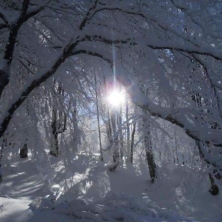 Stara Planina Vila Vesela Kuca Jalovik Izvor Экстерьер фото