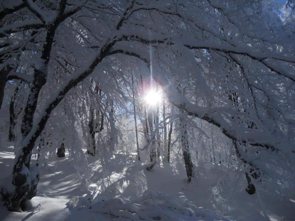 Stara Planina Vila Vesela Kuca Jalovik Izvor Экстерьер фото