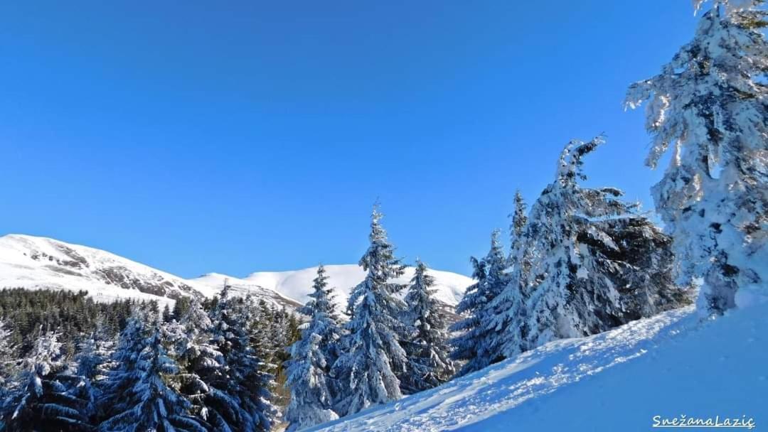Stara Planina Vila Vesela Kuca Jalovik Izvor Экстерьер фото