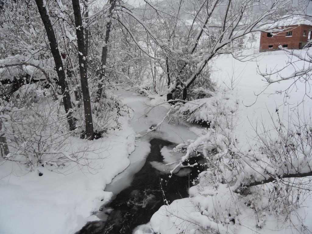 Stara Planina Vila Vesela Kuca Jalovik Izvor Экстерьер фото