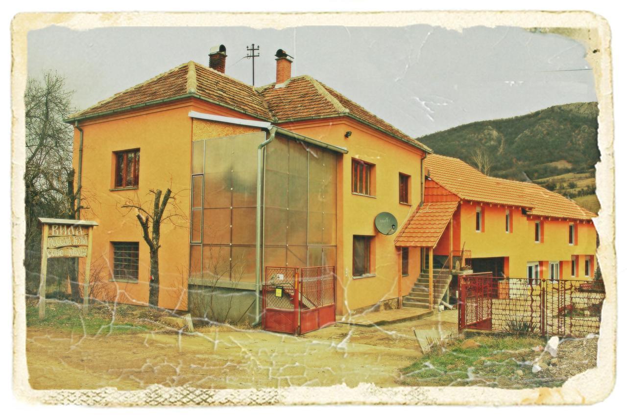 Stara Planina Vila Vesela Kuca Jalovik Izvor Экстерьер фото